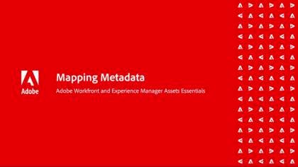 Mappatura dei metadati