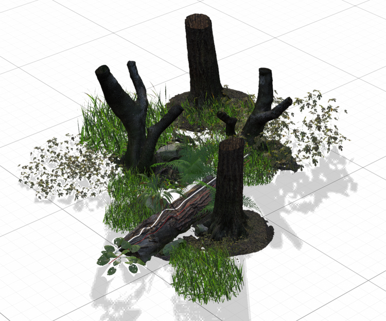 Gli oggetti di una scena di foresta 3D indicano come la luce interagisce con l’ambiente