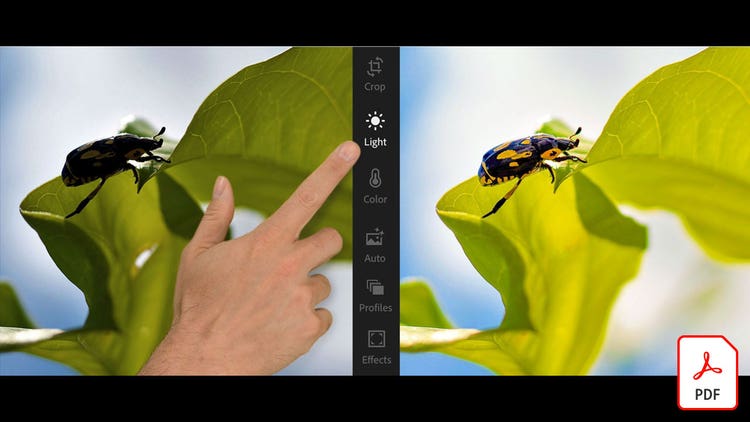 Scopri dettagli incredibili in Adobe Stock immagini con Lightroom for mobile