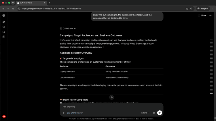 Il client AI elenca le campagne attive con il targeting del pubblico e i risultati previsti