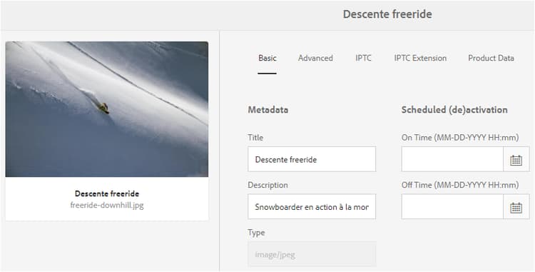 visualizza i metadati tradotti nella pagina Proprietà risorsa