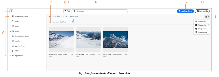 Assets Essentials - Interfaccia utente