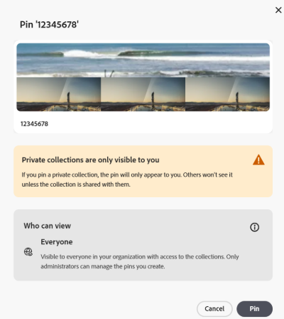Conferma raccolta pin