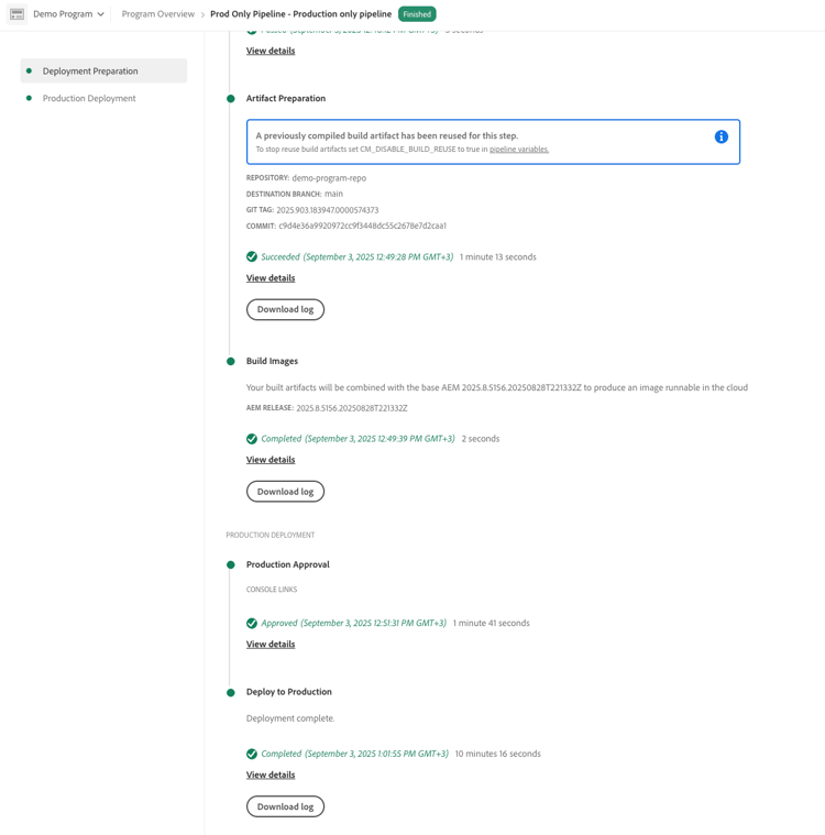 Dettagli artefatto