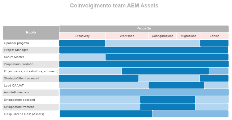 Grafico a barre orizzontali che mostra i ruoli fittizi e il loro livello di coinvolgimento nel team AEM Assets.