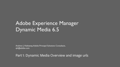 Panoramica di Dynamic Media