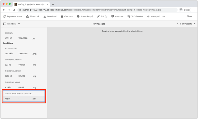 File di rendering metadati AEM Assets