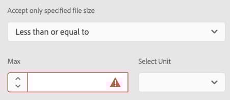 Accetta solo le dimensioni file specificate