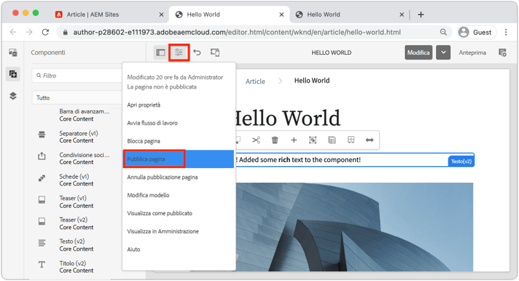 pubblicazione diretta
