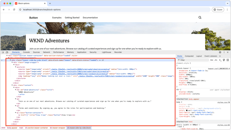 Ispezionare il DOM del blocco