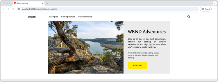 Anteprima di sviluppo locale del teaser tramite CSS e JS