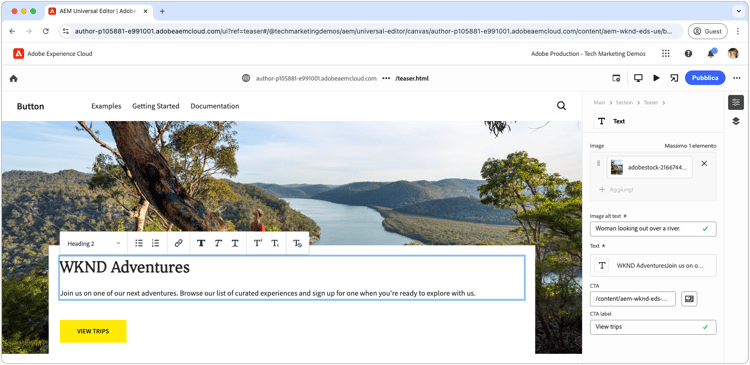 Teaser nell’editor universale
