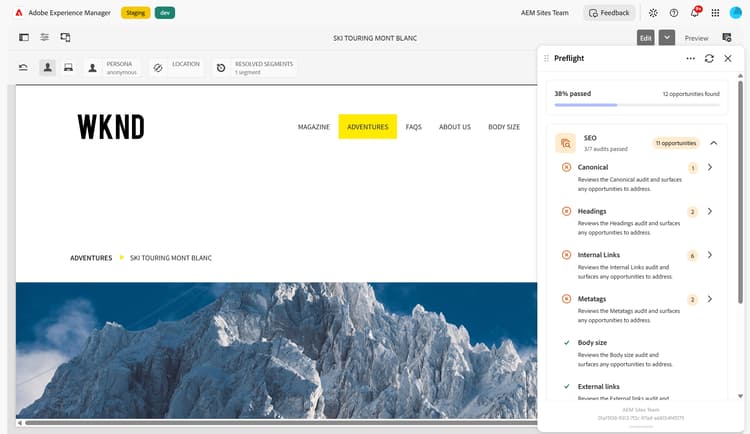 Verifica preliminare dei controlli SEO