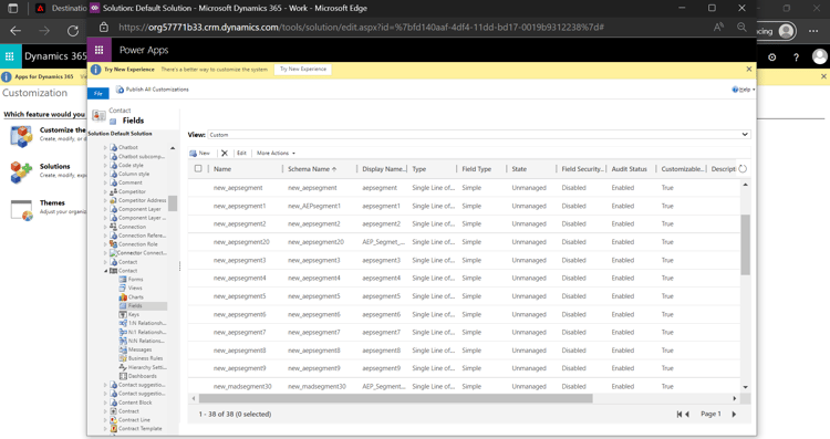 Schermata dellinterfaccia utente di Dynamics 365 con i campi personalizzati.