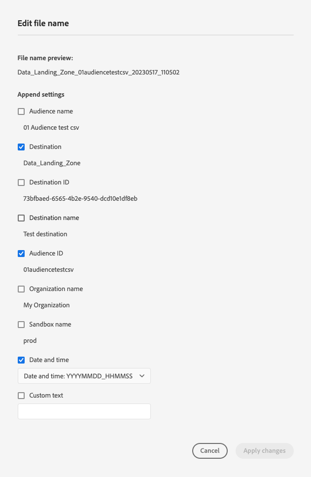 Immagine che mostra tutte le opzioni disponibili per il nome del file.