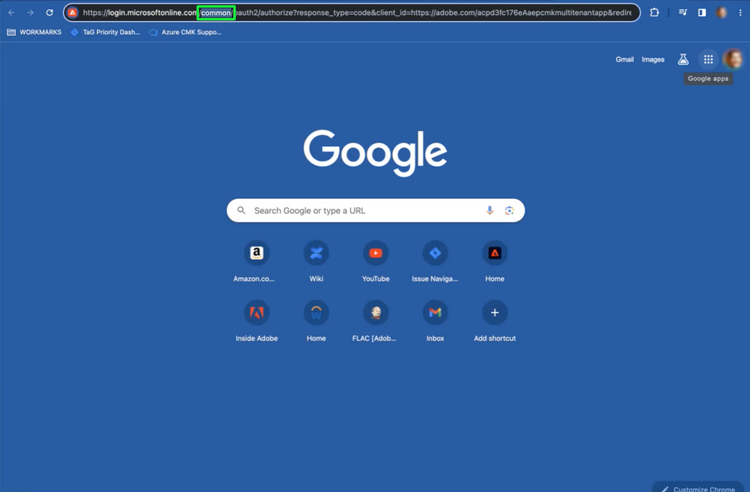 Una pagina del browser Google con la sezione 'common' dell'URL di autenticazione dell'applicazione evidenziata.
