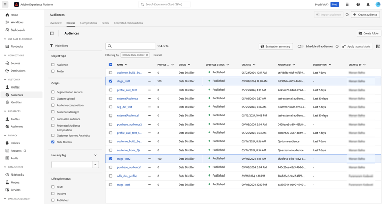 Area di lavoro Pubblico in Adobe Experience Platform, con i tipi di pubblico di Data Distiller pubblicati automaticamente e pronti per luso.
