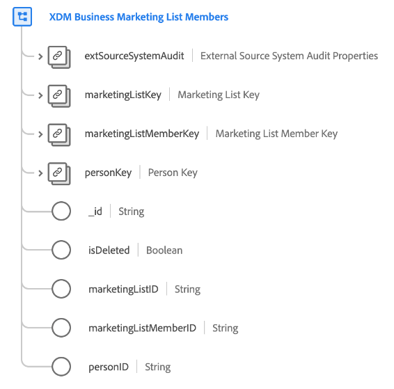 La struttura della classe dei membri dellelenco di marketing aziendale XDM così come viene visualizzata nellinterfaccia utente