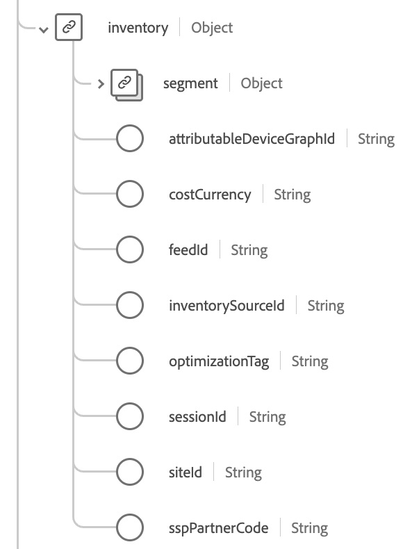 Diagramma di schema che mostra loggetto e i relativi campi.