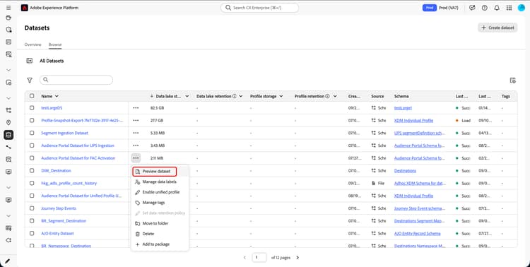 Il pulsante Anteprima set di dati è evidenziato.