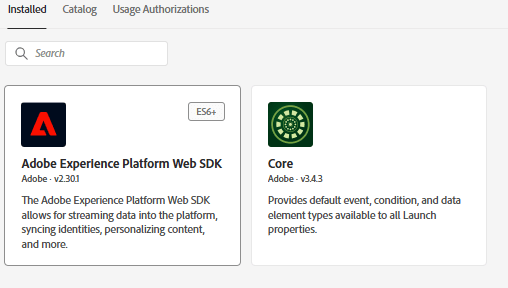 Creare tag Adobe Experience Platform | Adobe Journey Optimizer