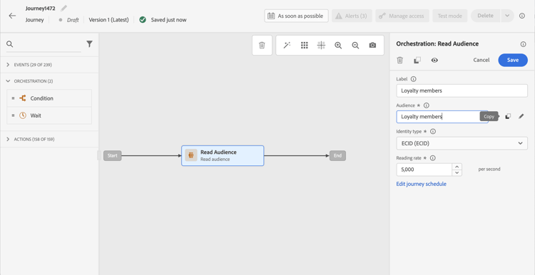 Pulsante Copia per copiare il nome e lID del pubblico in formato JSON