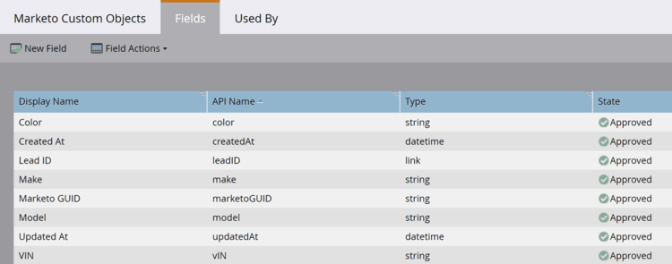 Campi Oggetto Personalizzati