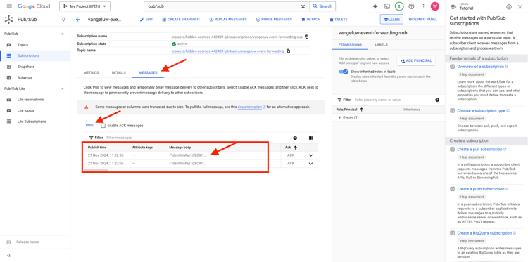 Configurazione raccolta dati di Adobe Experience Platform