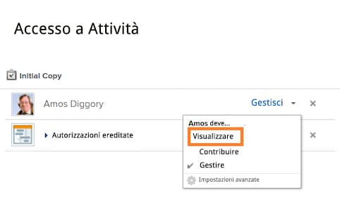 Finestra Accesso attività