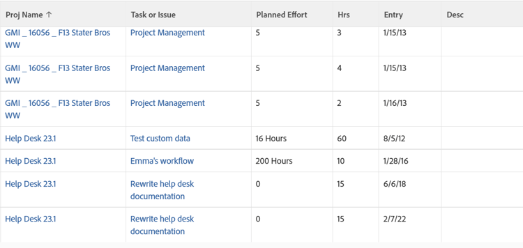 custom_view_hours_with_task_and_issue_information.png