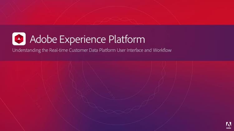 Interfaccia utente e workflow di Real-time Customer Data Platform