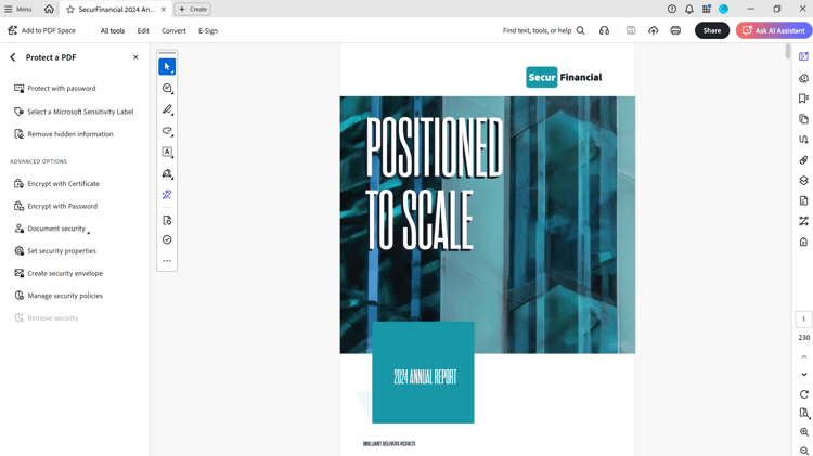 Schermata di protezione di un pannello PDF