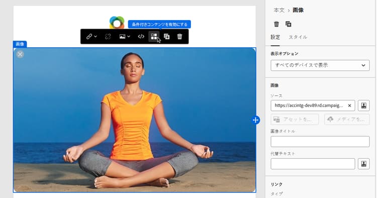 条件付きコンテンツに対する変数の使用を示すスクリーンショット。