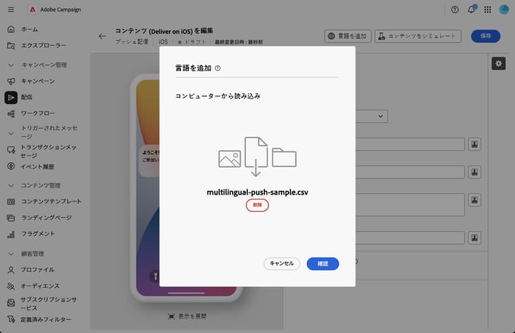 インポートされたすべての言語で CSV 検証が成功したことを示すスクリーンショット
