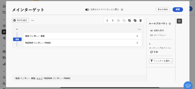 カスタム配信のオーディエンスの選択を示すスクリーンショット