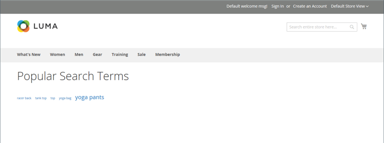 ​ ストアフロントの例 – よく使用される検索用語 ​
