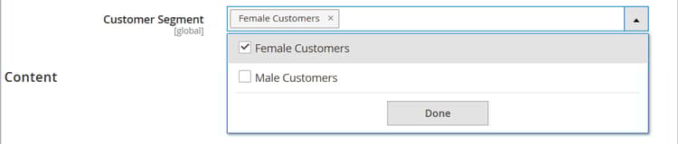 ​ 顧客セグメントの選択 ​