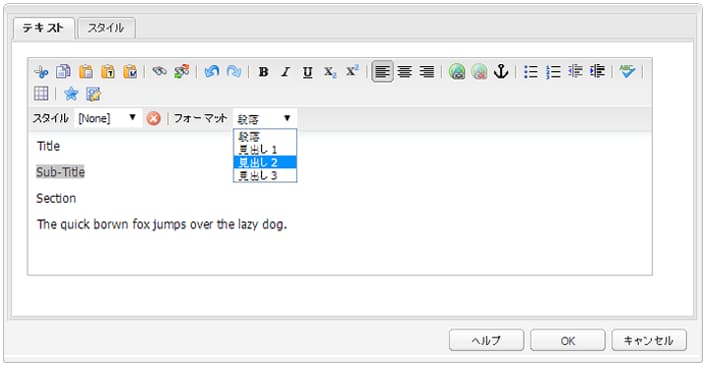 cq55_rte_paragraph_use