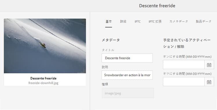 アセットのプロパティページで翻訳済みメタデータを表示