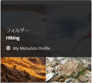 カード表示には、フォルダーに適用されたメタデータプロファイルが表示されます