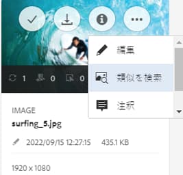 カード表示のオプションを使用して、類似した画像を検索する