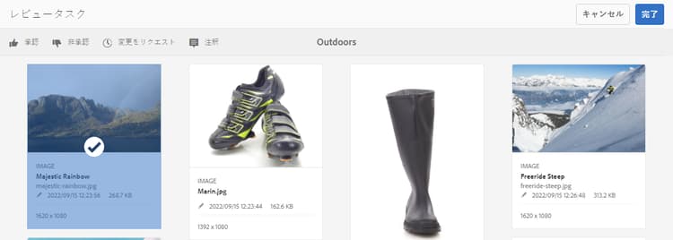 review_task_collection