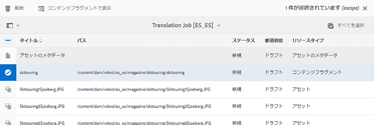 翻訳ジョブのオプション