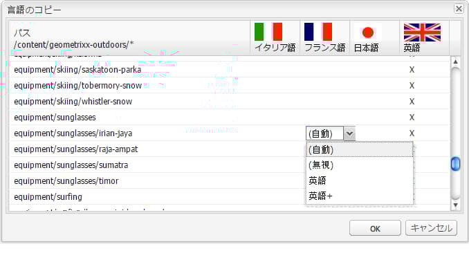 languagecopydilogdropdown