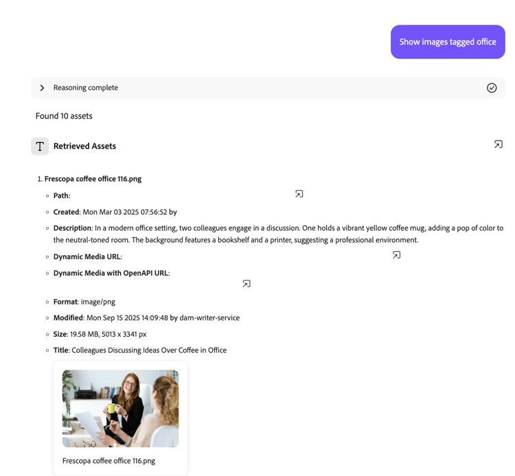 Discovery Agent を使用したアセットの検索