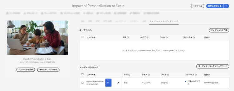 プロパティページの「キャプションとオーディオトラック」タブ。