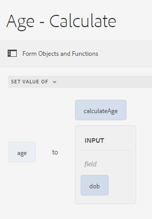 ルールエディター内の Calcualte Agae カスタム関数