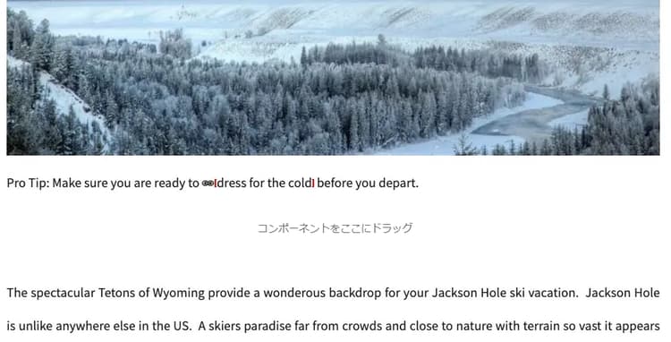 リンクチェッカーによる外部リンクの確認