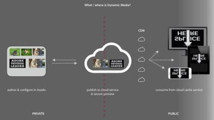 Dynamic Media の概要