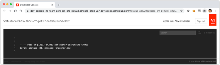 Developer Console - 401 Unauthorized